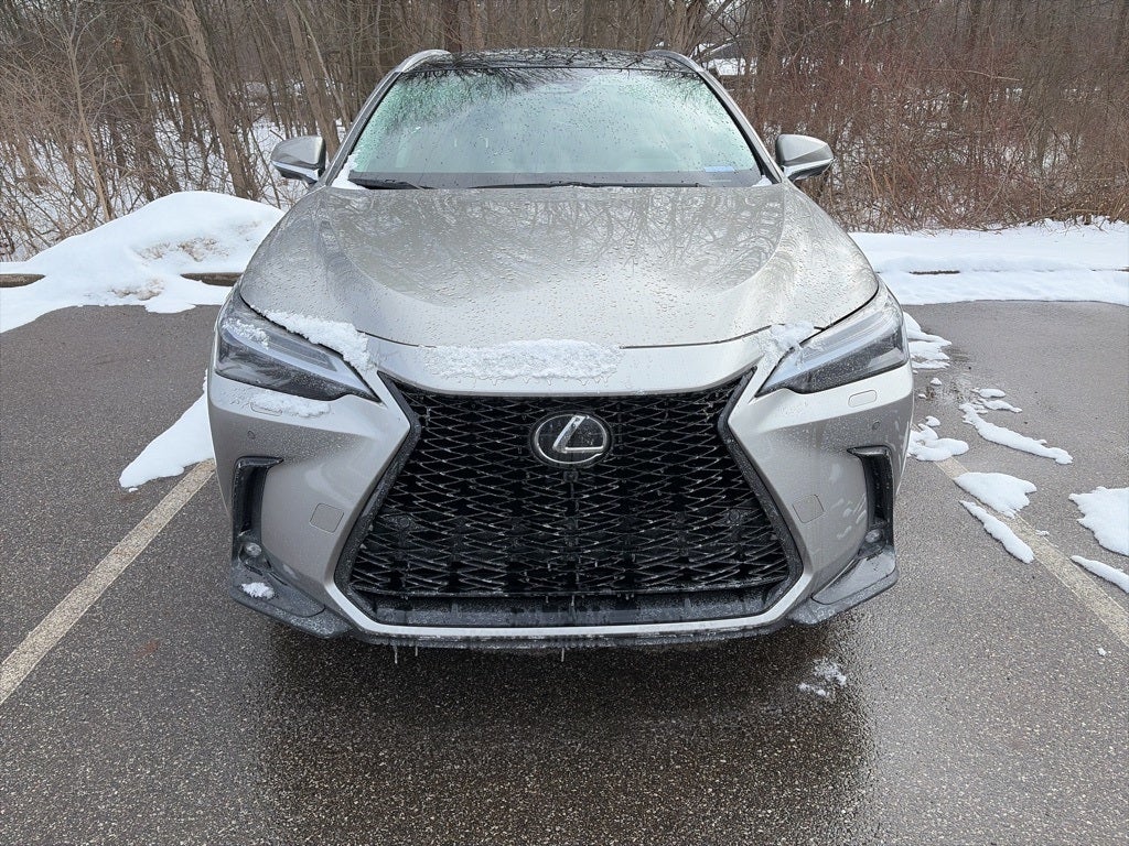2025 Lexus NX 350h Luxury