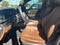 2025 Mercedes-Benz GLE GLE 450e 4MATIC®