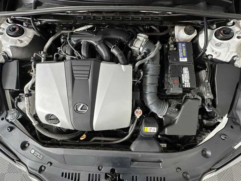 2019 Lexus ES 350