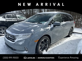 2024 Honda Odyssey Elite