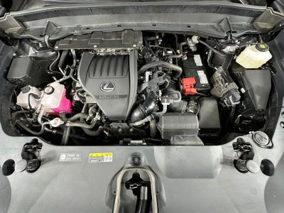 2024 Lexus TX 350