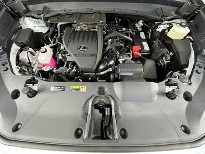 2025 Lexus TX 350 Luxury