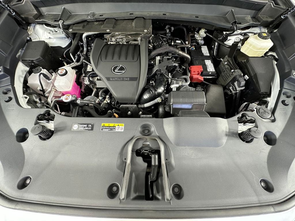 2025 Lexus TX 350 Luxury
