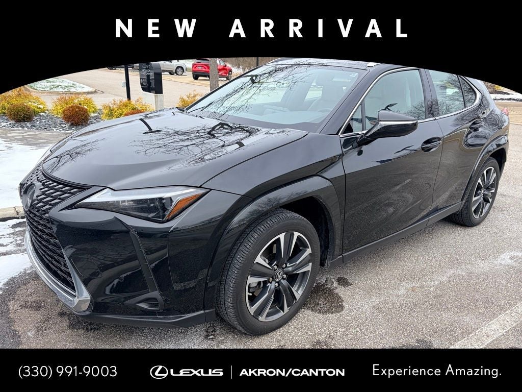 2024 Lexus UX 250h Premium