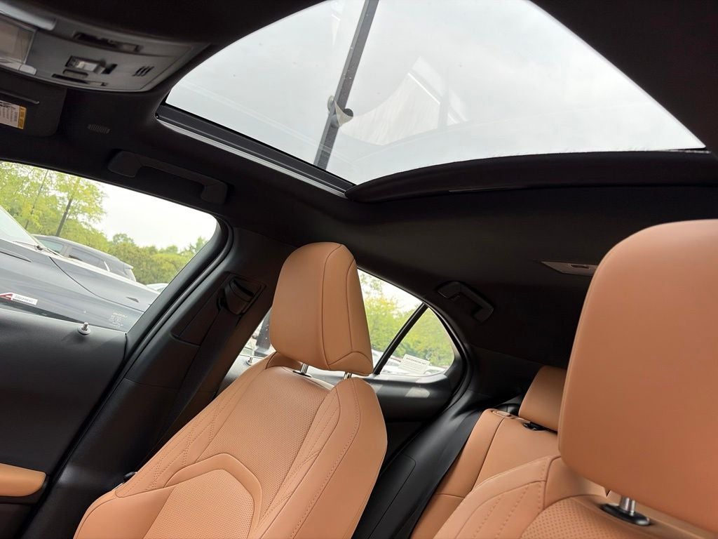 2025 Lexus UX 300h Premium