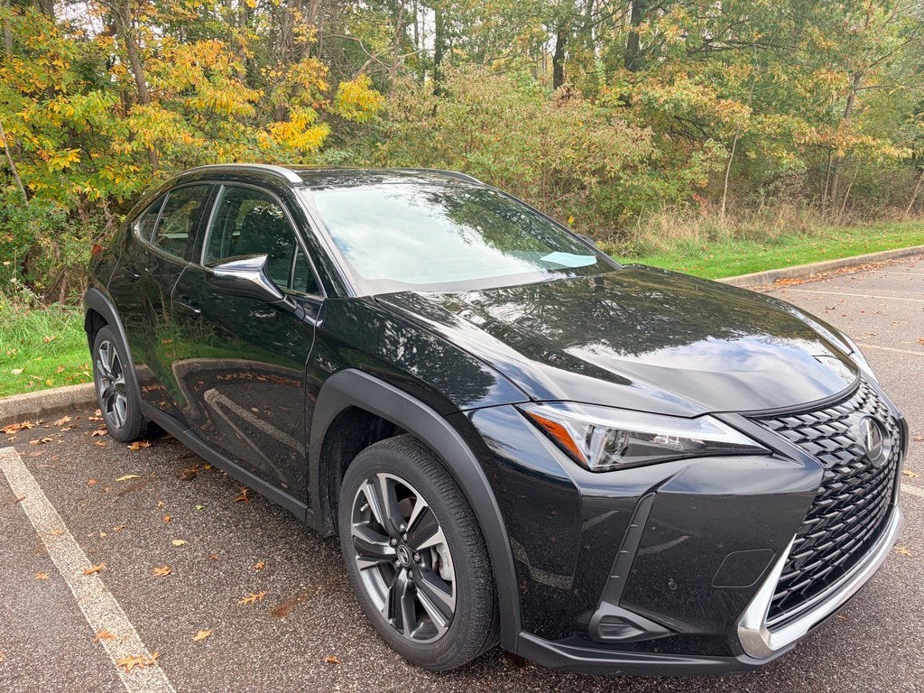 2024 Lexus UX 250h Base