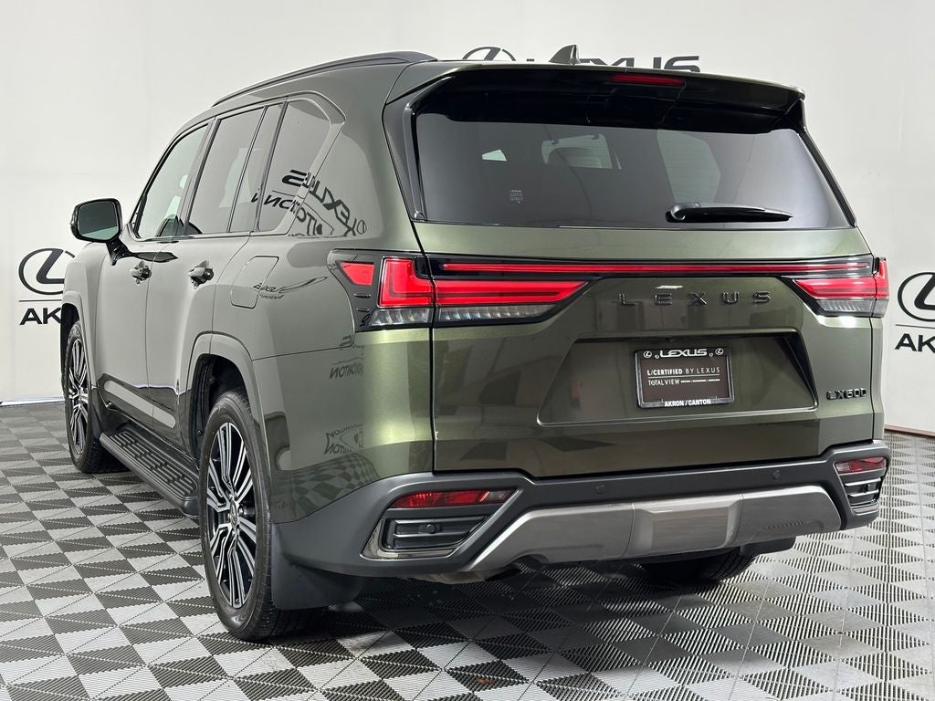 2025 Lexus LX Luxury - Photo 10
