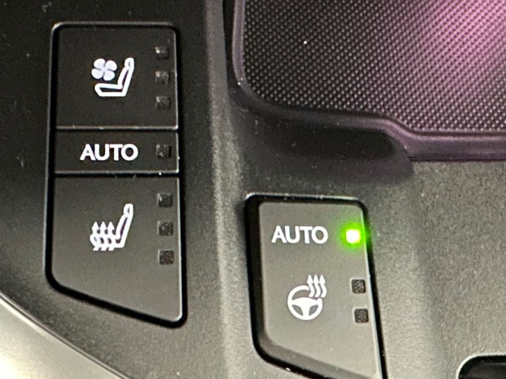2025 Lexus LX Luxury - Photo 41