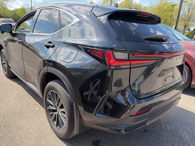2024 Lexus NX 350 Premium