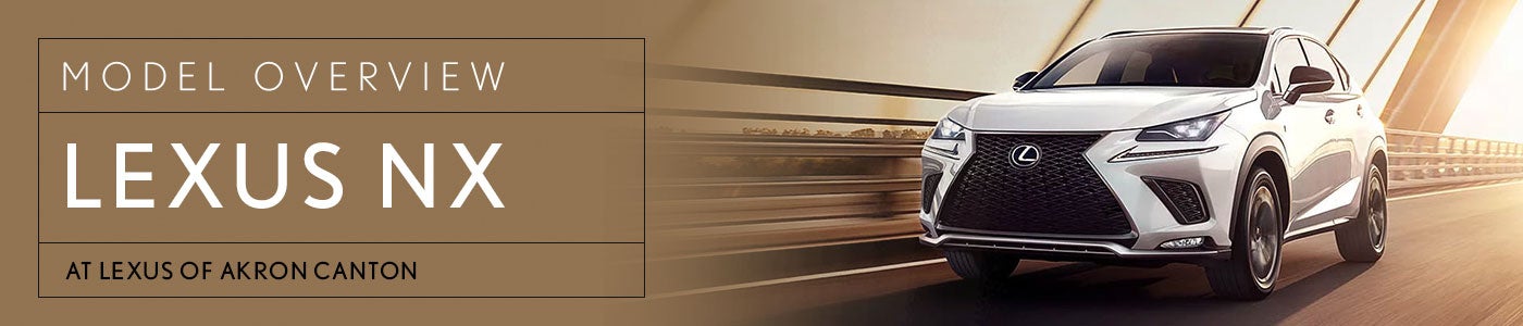 LEXUS NX Overview